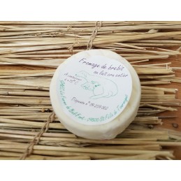 Fromage Frais Nature Brebis