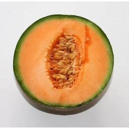 Melon petit cal 15