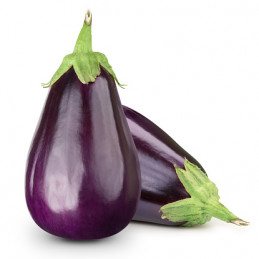 Aubergine