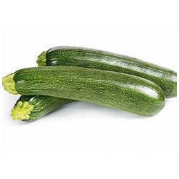 Courgette Verte Pamiers