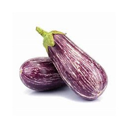 Aubergine Zébrée