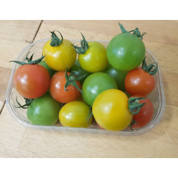 Tomate Cerise Bio Pamiers...
