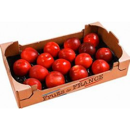 Nectarine Mini Plateau 2 kg