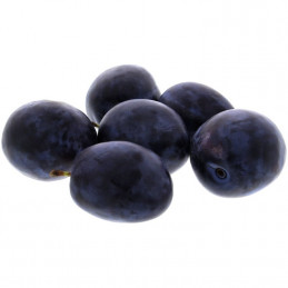 Prune d'Ente