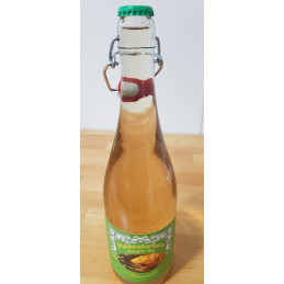 Limonade Ginger Ale 75cl