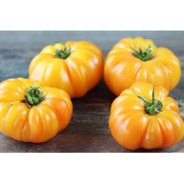 Tomate Ananas Bio Pamiers