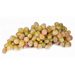 Raisin Danlas
