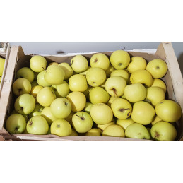 Pomme Golden Colis 8kg
