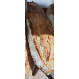Pain Blé épeautre
