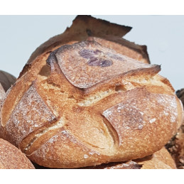 Pain Boule Campagne Petite