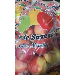 Pomme Sachet Story 2k