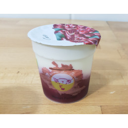 Yaourt Birol Cerise
