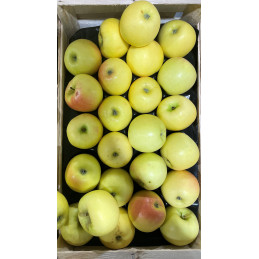 Pomme Asfari