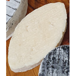 Chèvre du Xv