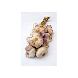 Ail Violet Grappe 1k
