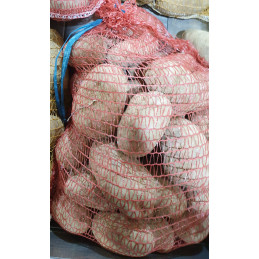 Pomme de terre Yona Sac 10kg