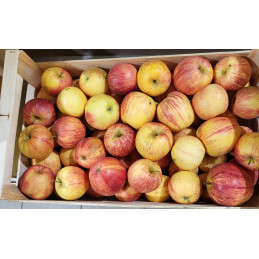 Pomme Gala Colis 8kg