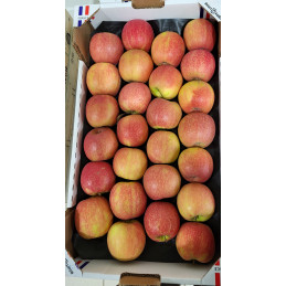 Pomme Pink Caisse