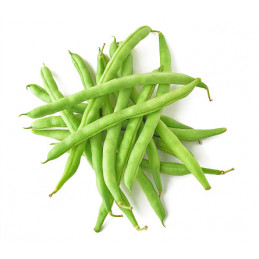 Haricot Vert
