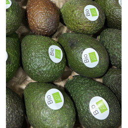 Avocat Bio