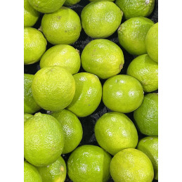 Lime