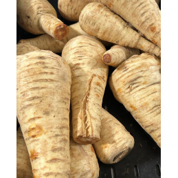 Panais Bio Pamiers