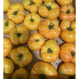 Tomate cotelée type Ananas