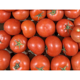 Tomate ronde