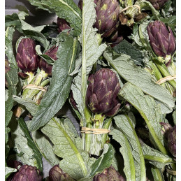 Artichaut Bouquet