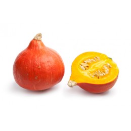 Potimarron