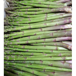 Asperge Verte