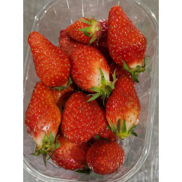 Fraise gariguette 250g