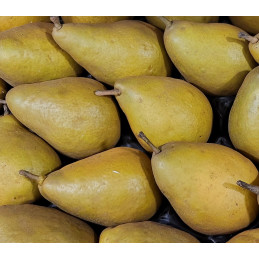 Poire Xénia Bio France Cat I