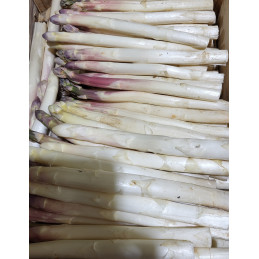 Asperge Blanche
