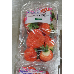 Fraise 500g Clery