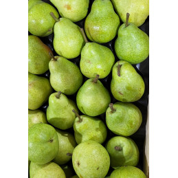 Poire William