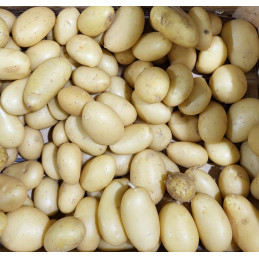 Pomme de terre Nvelle Béa...