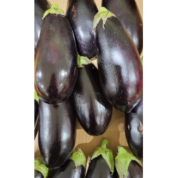 Aubergine Bio France Cat I