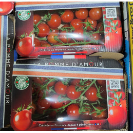 Tomate Cerise grappe...