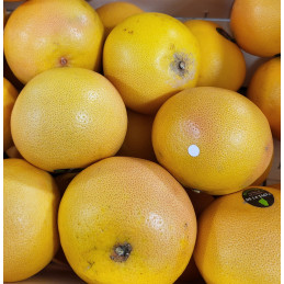 Pomelos Bio