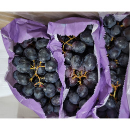 Raisin Noir sans pépins