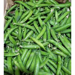 Petits Pois Bio