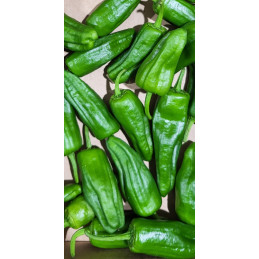 Piment Padron
