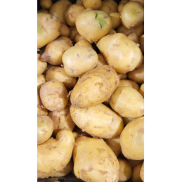 Pomme de terre Nvelle...