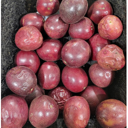 Fruit de la Passion