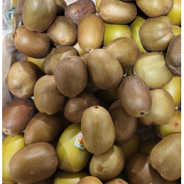 Kiwi Jaune