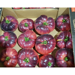 Tomate Blue Beauty