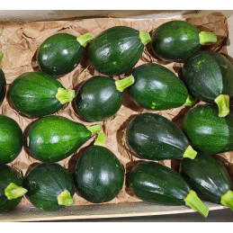 Courgette Ronde