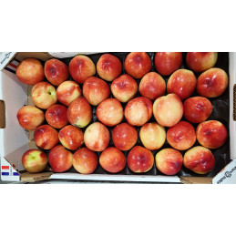 Nectarine blanche
