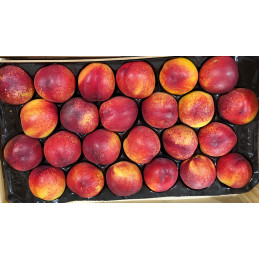 Nectarine Jaune